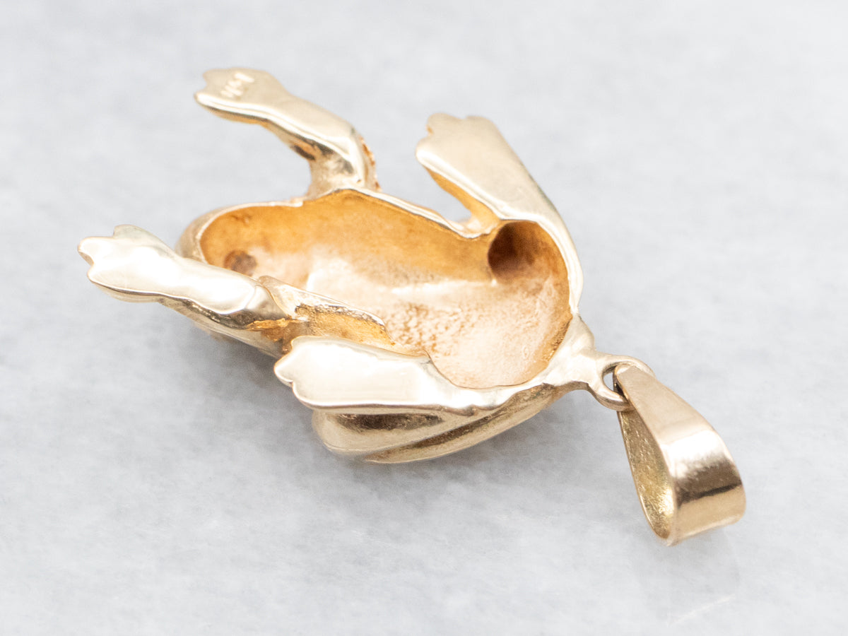 Golden Diamond Frog Charm Pendant