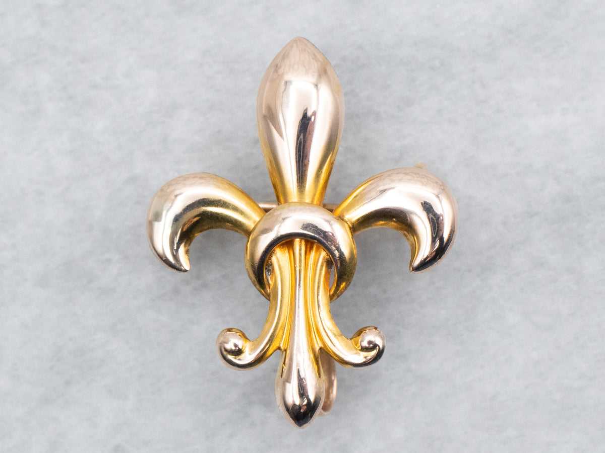 Fleur de lis brooch pin shop