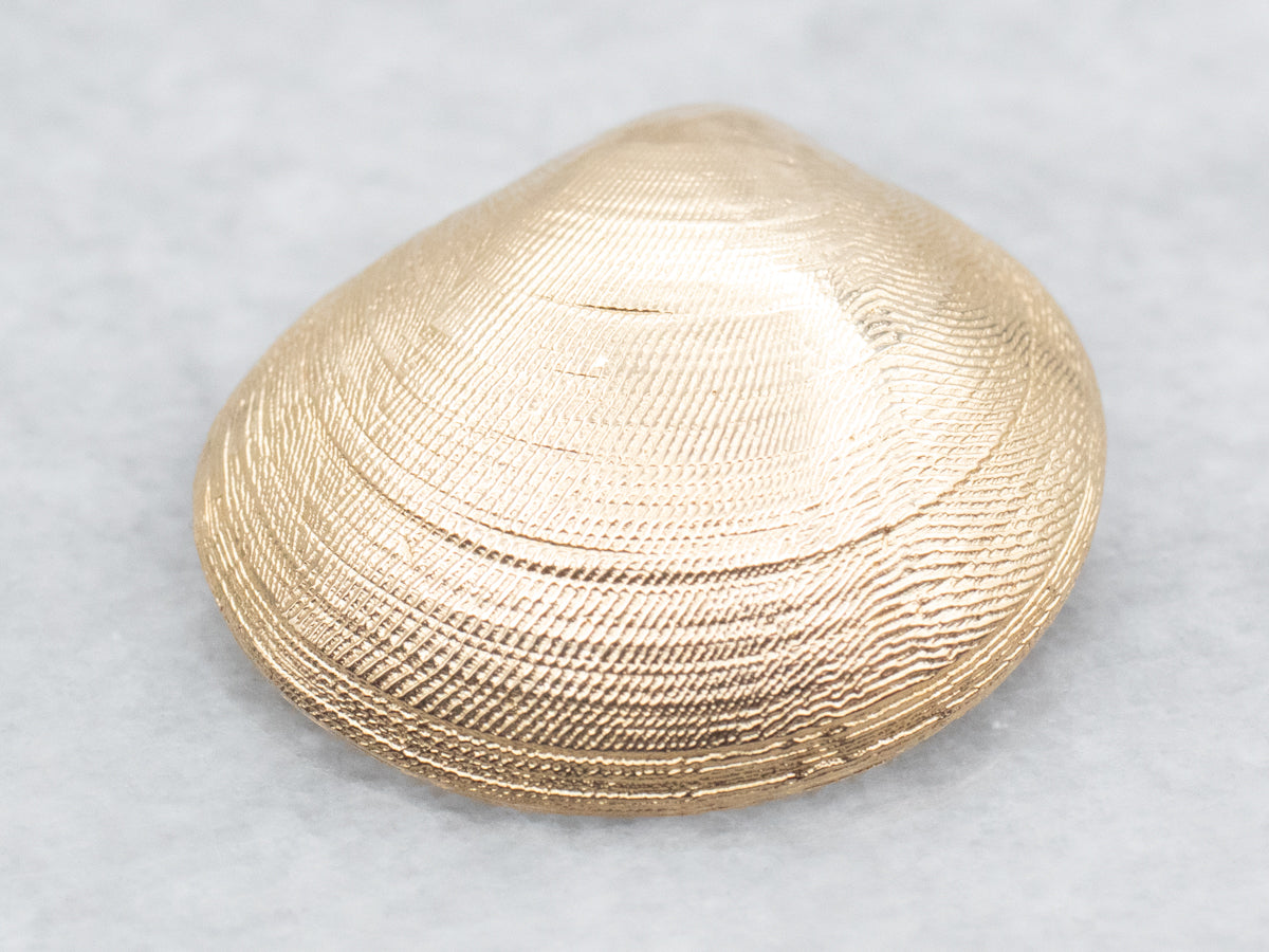 Clam Shell Pendant