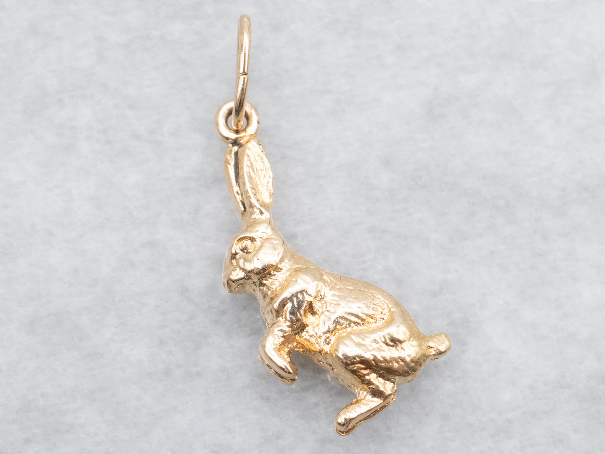 Bunny top Charm