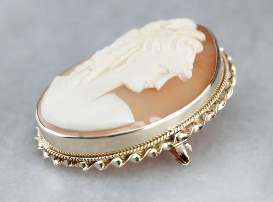 Vintage Cameo Brooch or Pendant