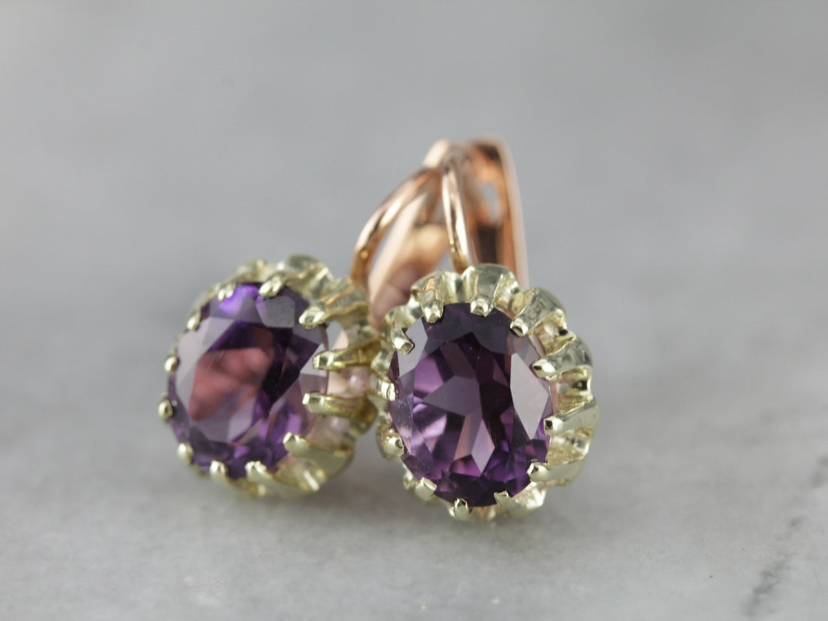 Amethyst Two Tone Gold Drop Earrings